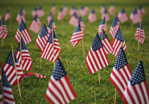 American flags on grass, fluttering in the wind under clear blue skies. A symbol of patriotism and unity on a sunny day.