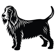 Basset fauve de bretagne