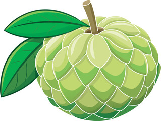 A vibrant vector illustration of a delicious custard apple, showcasing its juicy texture and tropical appeal in colorful, detailed artwork.