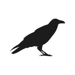Silhouette Birds Minimalist Vector Illustration of Birds in Flight.