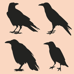 Silhouette Birds Minimalist Vector Illustration of Birds in Flight.