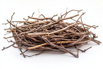 A nest of twigs