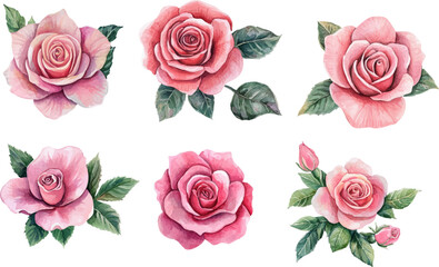 Naklejka premium Hand-Painted Pink Rose – Watercolor Floral Clipart for Crafts