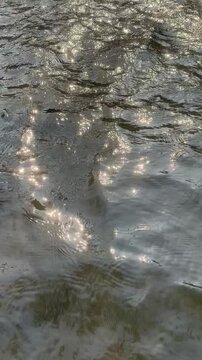 Reflejo del sol sobre el r&iacute;o 