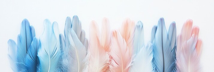 Delicate Pastel Feathers (1)