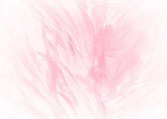 Beautiful soft pink feather pattern texture background
