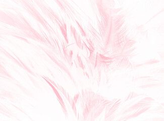 Beautiful soft pink feather pattern texture background