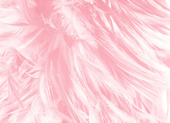 Beautiful soft pink feather pattern texture background