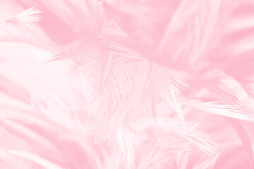 Beautiful abstract soft pink feather pattern texture background 
