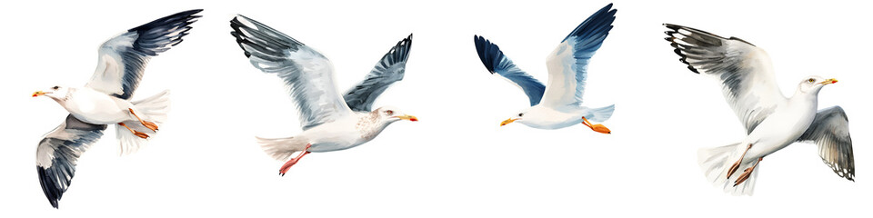 Obraz premium Graceful seagulls in flight over the open ocean