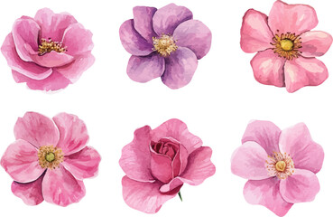 Romantic Watercolor Pink Rose