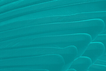 Beautiful dark green viridian vintage color trends feather texture background