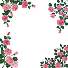 roses frame with copy space
