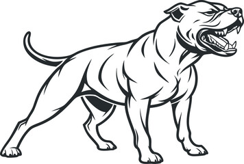 Obraz premium Aggressive Pitbull Vector Illustration with Black Outline
