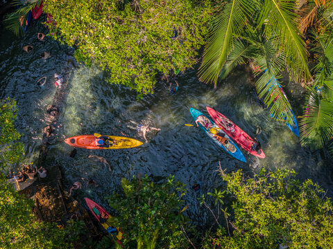 Aerial view of colorful kayaks and swimmers in a clear river at Kayak Klong Root Viewpoint, Krabi, Thailand. Active recreation in a lush, natural setting.