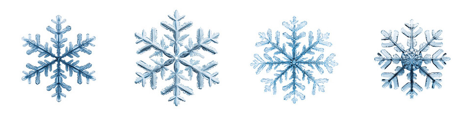 Intricate fractal snowflake with symmetrical design