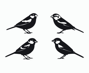Fototapeta premium Sparrow Bird Silhouette Collection Vector Template