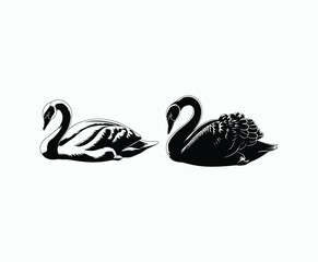 Graceful Swan Silhouette Isolated Template Set