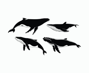Obraz premium Ocean Whale Silhouette EPS Vector Template Set