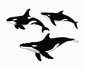 Whale Silhouette Collection Vector Template