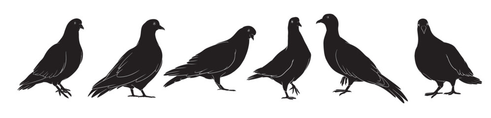 hand drawn silhouette of pigeon
