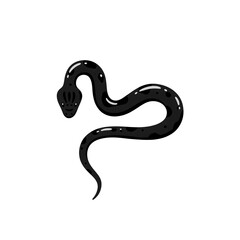 Obraz premium Black snake, white background.