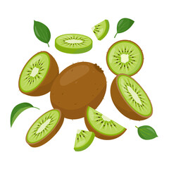 Kiwi and pieces. Whole and part of kiwi fruit flying. Organic tropical fruits for juice, smoothie or vitamin healthy food. Vector design illustration isolated on white background.
