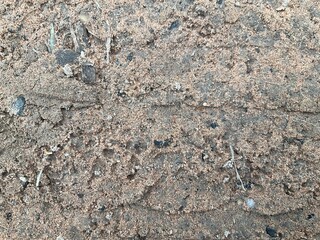 Close-up image of a tire tread imprint on compacted sand, showing detailed texture and natural patterns. The earthy tones and rugged surface evoke themes of travel, adventure, and off-road exploration