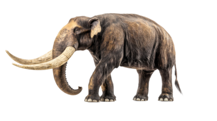 A mastodon on a white background