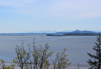 Samish Bay view through trees from View Point, Bow 