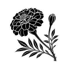 Silhouette of a marigold flower with petals and bud on the stem vector illustration