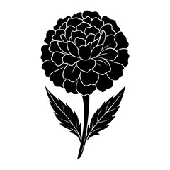 Silhouette of a marigold flower with petals and bud on the stem vector illustration