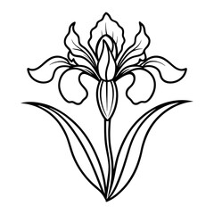 
Line art of an iris flower with pointed petals and long leaves vector illustration
