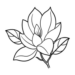 
Line art of a magnolia flower with layered petals and large leaves vector illustration