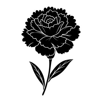 recommend clip art: Silhouette of a carnation flower with  leaves vector illustration