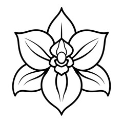 
Line art bof an orchid flower with buds and curved stem vector illustration