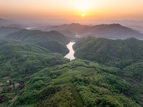 aerial view tea garden wiht sunset