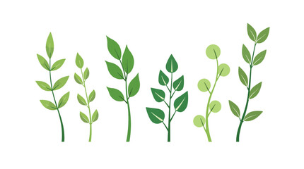 Obraz premium Tropical green leaves vector set