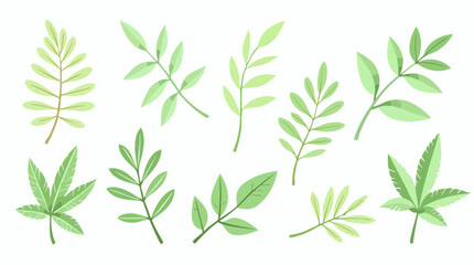 Fototapeta premium Tropical green leaves vector set