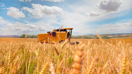 Combine harvester harvesting wheat field Salt lake in the background