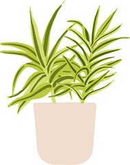 Houseplant Indoor potted plant dracaena song of india illustration