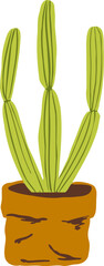 Houseplant Indoor potted plant organ pipe cactus illustration