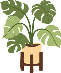 Houseplant Indoor potted plant monstera deliciosa illustration © musbila