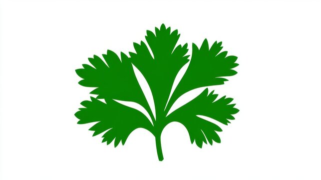 green cilantro leaf on white background clip art preview
