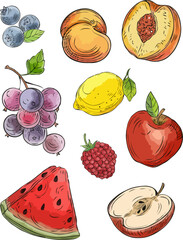 set of fruits vector illustration series