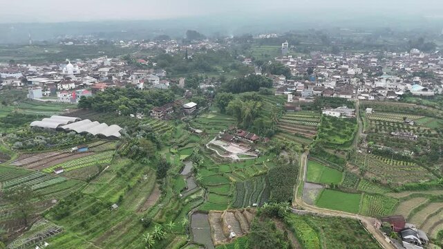 Tranquil Aerial View: Rice Terraces and Urban Contrast at Batu City, East Java