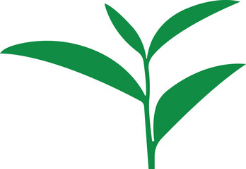 Tea Leaf icon in flat. botany, bio, organic, vegetarian, fresh, nature design leaves isolated on transparent background