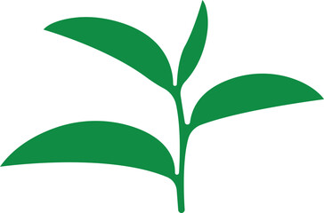Tea Leaf icon in flat. botany, bio, organic, vegetarian, fresh, nature design leaves isolated on transparent background