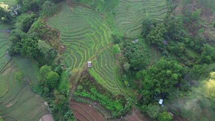 Aerial view of the countryside with vast rice fields at the Malino tourist attraction