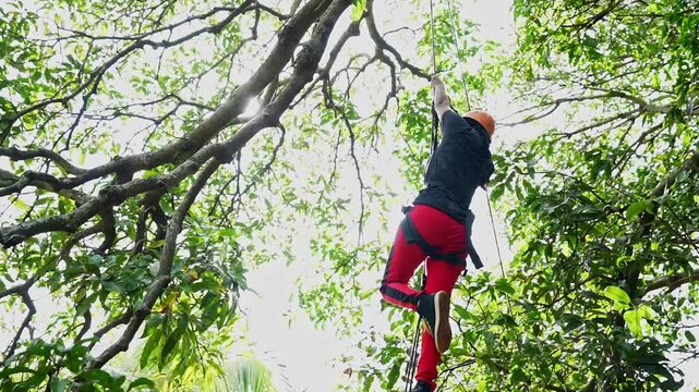 A girl hanging high on tree branch while rope climbing game during adventure trip